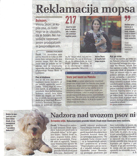 Časopisni članek COTON DE TULEAR
