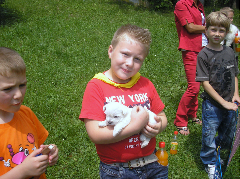 Otroci iz O.š. Jurija Vege Moravče COTON DE TULEAR